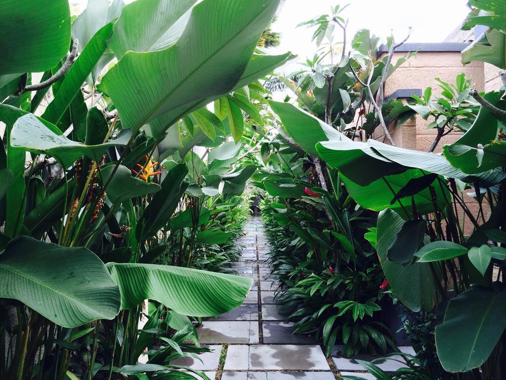D'Alang Alang Villas Seminyak  Ngoại thất bức ảnh